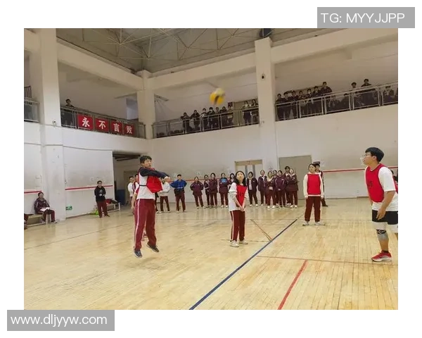 排球盛宴:深入分析西安排球队的战术与技术创新之路