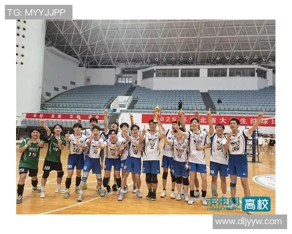 武汉排球队在排球意识排行榜中荣登第十名展现出强劲实力与潜力